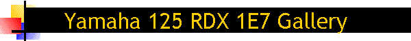 Yamaha 125 RDX 1E7 Gallery